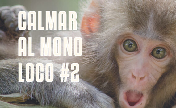 Calmar al mono loco #2