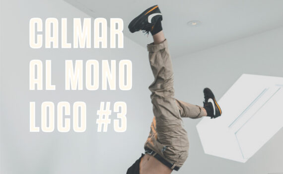 Calmar al mono loco #3