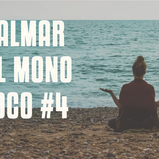 Calmar al mono loco #4